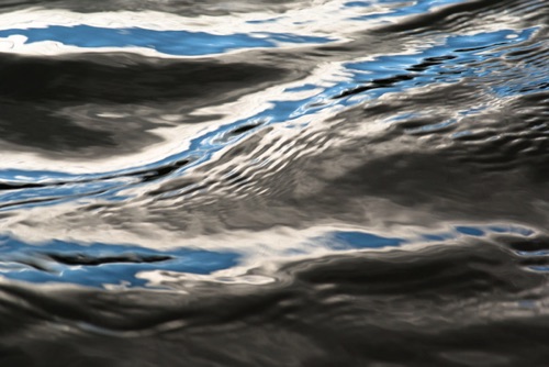 Water Detail, Upland Pond, Sussex County, NJ 09 07 (6963SA).jpg